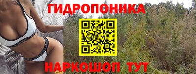 ALPHA PVP Канаш