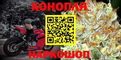 эйфоретик Камышлов