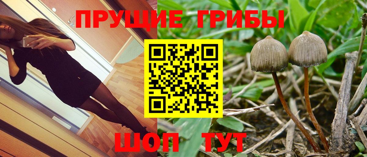 Псилоцибиновые грибы Psilocybine cubensis  Вход с VPN  Кудрово 