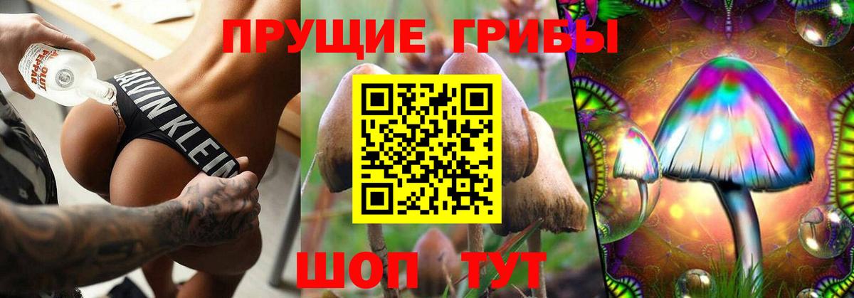 Галлюциногенные грибы ЛСД Кудрово