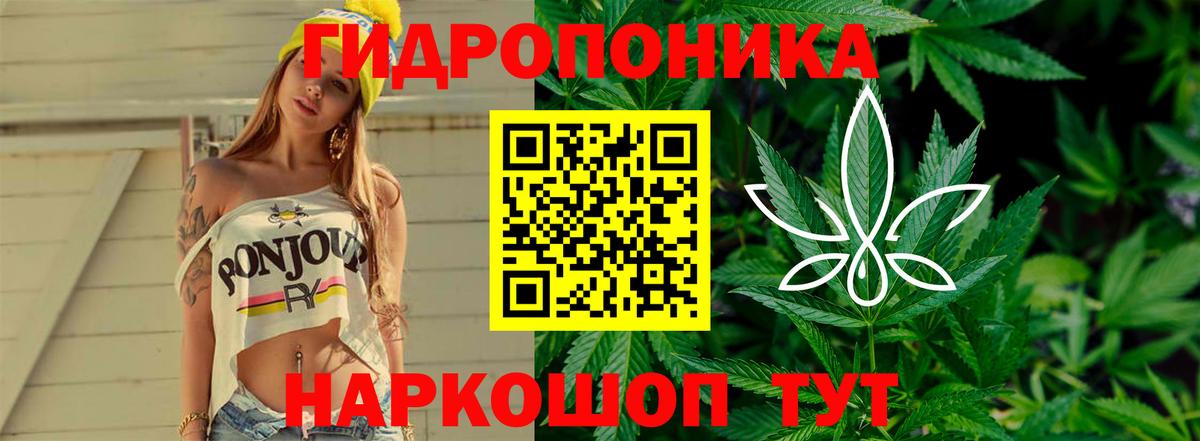Бошки Шишки план Кудрово